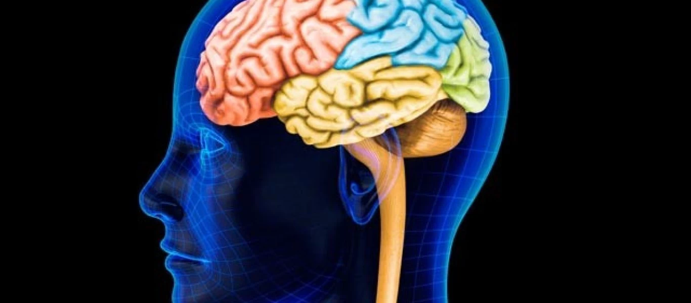 Το τεστ IQ των τριών ερωτήσεων - Πιο γρήγορο και εύκολο δεν υπάρχει!